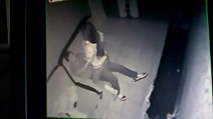 Avant la pénétration, video photo sexe gratuit le mâle a léché la chatte de la blonde